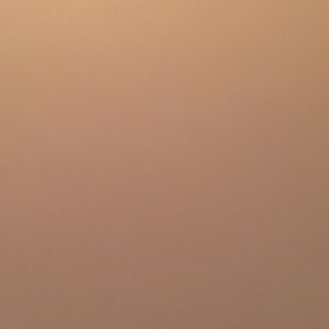 Meet your Posher, Carl